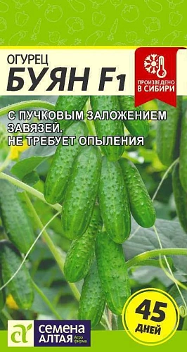 Огурец Буян F1, 5 шт (Сем Алт) Огурец Буян F1, 5 шт (Сем Алт)