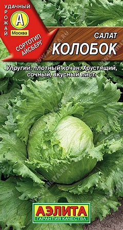 Салат Колобок кочанный (тип Айсберг) 0,5 г (АЭЛИТА) Салат Колобок кочанный (тип Айсберг) 0,5 г (АЭЛИТА)