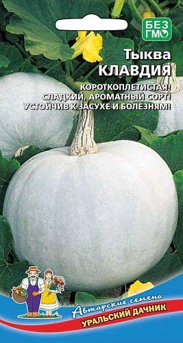 Тыква Клавдия (УД) Тыква Клавдия (УД)