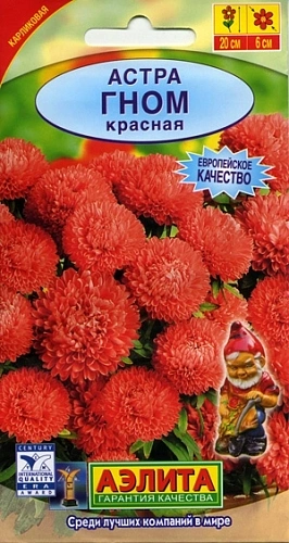 Астра Гном красная 0,2 г Астра Гном красная 0,2 г