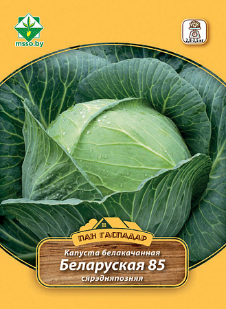 Капуста белокочанная Белорусская 85, 4 г (Пан Гаспадар) (МССО) Капуста белокочанная Белорусская 85, 4 г (Пан Гаспадар) (МССО)