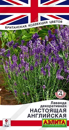 Лаванда Английская декоративная настоящая 0,1 г Лаванда Английская декоративная настоящая 0,1 г