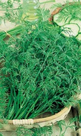 Укроп Кибрай, 2 г (УД) Укроп Кибрай, 2 г (УД)