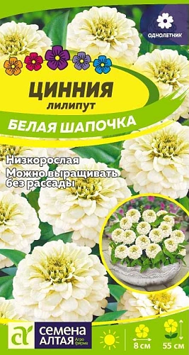Цинния лилипут Белая шапочка 0,3 г Цинния лилипут Белая шапочка 0,3 г
