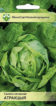 Салат Атракция кочанный 0,5 г (МССО)