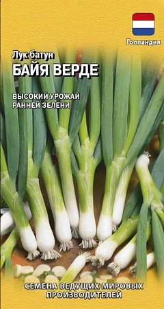 Лук батун Байя Верде 0,2 г (Поиск)