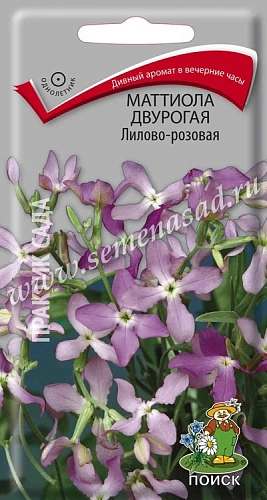 Маттиола двурогая Лилово-розовая, 0,3 г (Поиск) Маттиола двурогая Лилово-розовая, 0,3 г (Поиск)