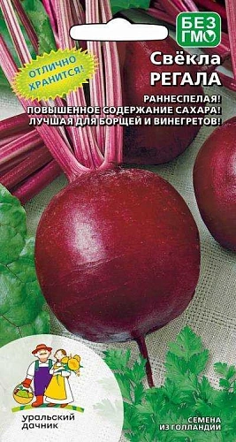 Свекла Регала (УД) Свекла Регала (УД)