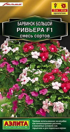 Барвинок Ривьера F1, смесь 5 шт