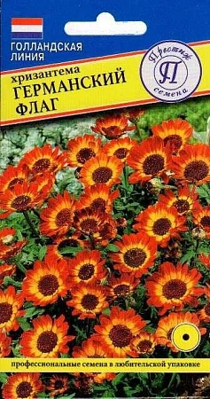 Хризантема Германский флаг однолетник, 0,5 г (Престиж)