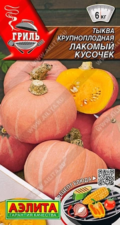 Тыква крупноплодная Лакомый кусочек, 2 г (Аэлита)