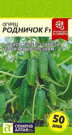 Огурец Родничок F1, 0,3 г (Сем Алт) Огурец Родничок F1, 0,3 г (Сем Алт)