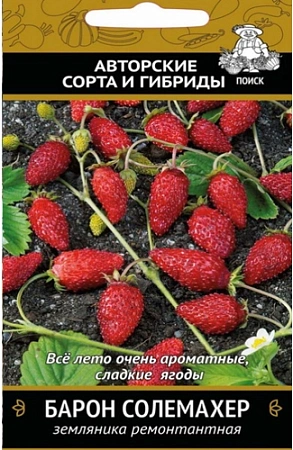 Земляника Барон Солемахер 100 шт (Поиск)