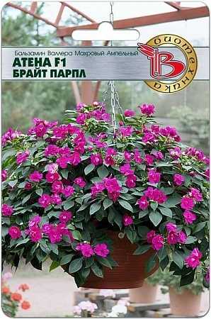 Бальзамин Валлера махровый Антена F1 Брайт Парпл, 8 шт (Биотехника) Бальзамин Валлера махровый Антена F1 Брайт Парпл, 8 шт (Биотехника)