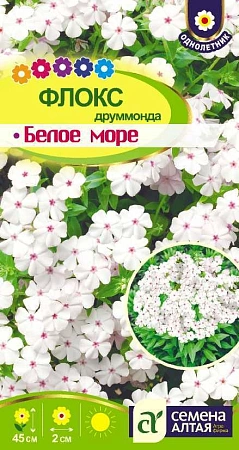 Флокс Белое Море друммонда 0,1 г