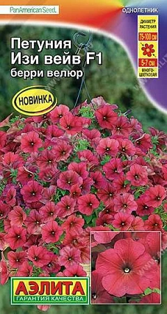 Петуния Изи вейв F1 берри велюр 5 шт