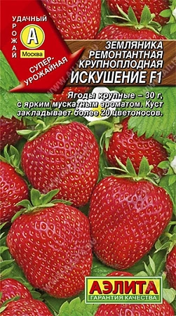 Земляника ремонтантная Искушение F1, 10 шт (Аэлита)