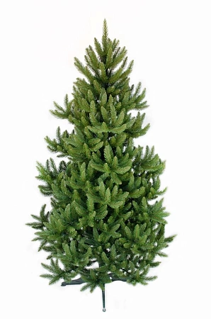 Ель Сверк Дикий (1,2-2,5 м)