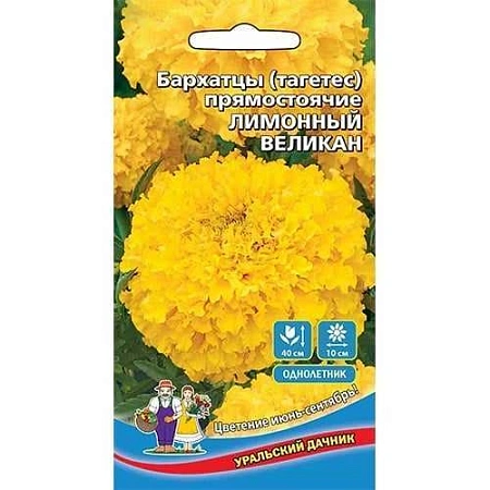 Бархатцы Лимонный великан прямостоячие (УД) Бархатцы Лимонный великан прямостоячие (УД)