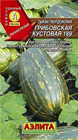 Тыква твердокорая Грибовская кустовая 189, 1 г