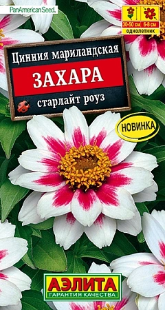 Цинния мариландская Захара старлайт роуз, 5 шт (АЭЛИТА)