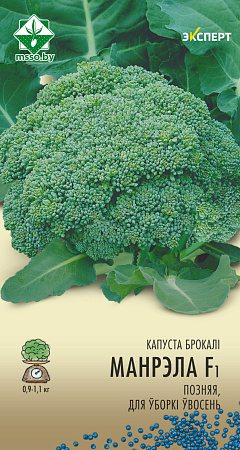 Капуста брокколи Монрелло F1, 12 шт (Эксперт) (МССО)