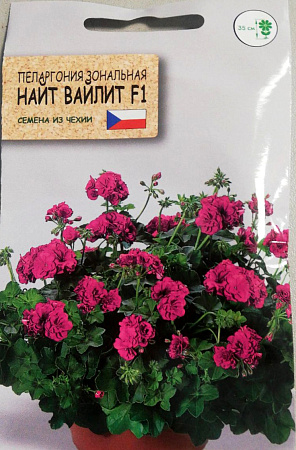 Пеларгония Найт Вайлит F1, 5 шт (Агромаркет)