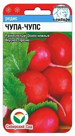 Редис Чупа-Чупс, 2 г