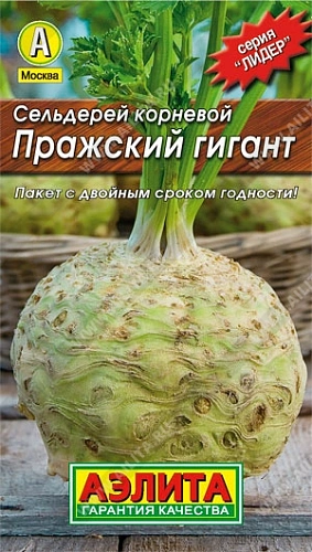 Сельдерей Пражский гигант корневой, 0,5 г (Аэлита) Сельдерей Пражский гигант корневой, 0,5 г (Аэлита)