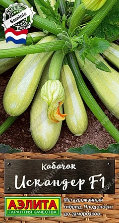 Кабачок цукини Искандер F1, 5 шт (АЭЛИТА)