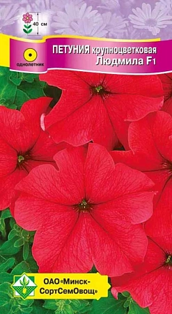 Петуния гибридная крупноцветная Людмила F1, 10 шт (МССО) Петуния гибридная крупноцветная Людмила F1, 10 шт (МССО)