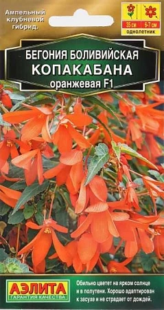 Бегония боливийская Копакабана F1 оранжевая, 5 шт (Аэлита)