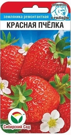 Земляника Красная пчелка, 10 шт (Сиб Сад)