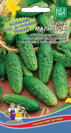 Огурец Малышок (УД) Огурец Малышок (УД)