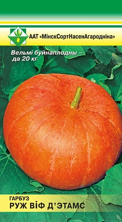 Тыква Руж виф д'Этамс, 5 шт (МССО)