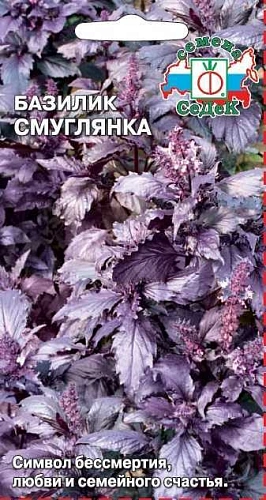 Базилик Смуглянка, 0,1 г (СеДек) Базилик Смуглянка, 0,1 г (СеДек)