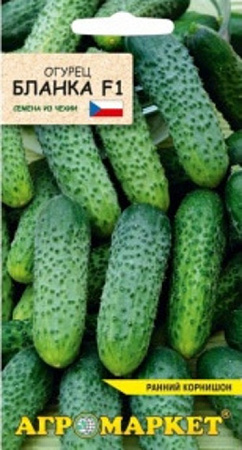 Огурец Бланка F1, 7 шт (Агромаркет)