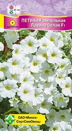 Петуния гибридная ампельная Лавина белая F1, 7 шт (МССО) Петуния гибридная ампельная Лавина белая F1, 7 шт (МССО)