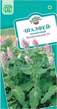 Шалфей мускатный Вознесенский 24, 0,3 г (ГАВРИШ) Шалфей мускатный Вознесенский 24, 0,3 г (ГАВРИШ)