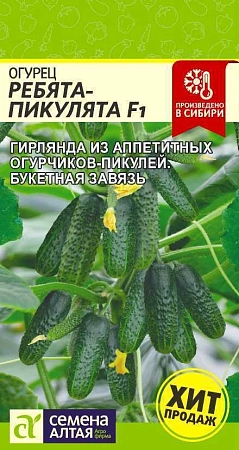 Огурец Ребята-Пикулята F1, 5 шт (Сем Алт) Огурец Ребята-Пикулята F1, 5 шт (Сем Алт)