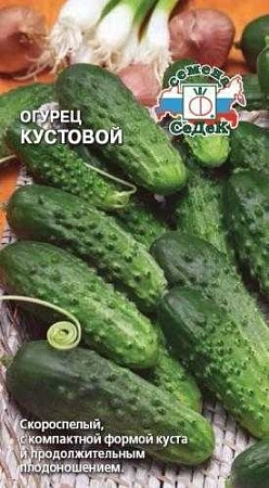 Огурец Кустовой, 0,5 г (СеДек) Огурец Кустовой, 0,5 г (СеДек)