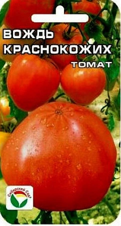 Томат Вождь Краснокожих, 20 шт