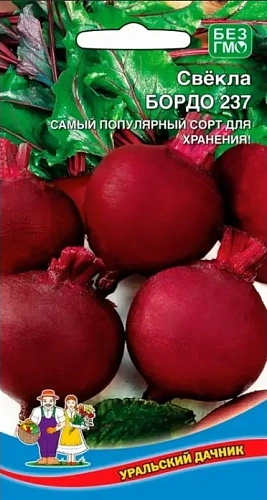 Свекла Бордо 237 (УД) Свекла Бордо 237 (УД)