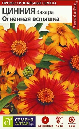 Цинния Захара Огненная вспышка, 6 шт Цинния Захара Огненная вспышка, 6 шт