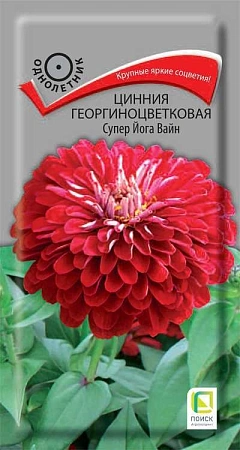 Цинния Супер Йога Вайн 0,4 г (Поиск) Цинния Супер Йога Вайн 0,4 г (Поиск)