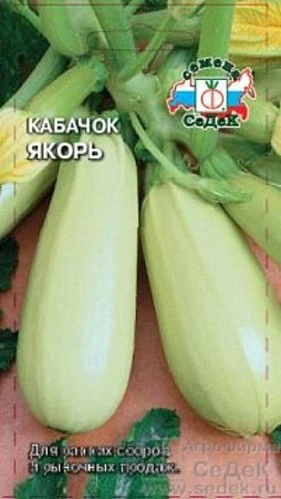 Кабачок Якорь, 2 г (СеДек) Кабачок Якорь, 2 г (СеДек)