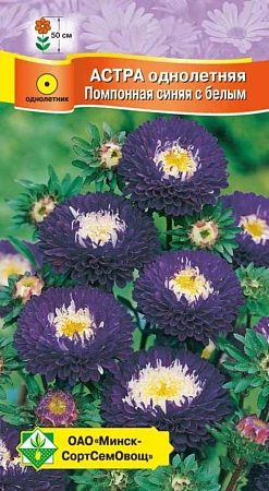 Астра помпонная Синяя с белым, 0,3 г (МССО) Астра помпонная Синяя с белым, 0,3 г (МССО)