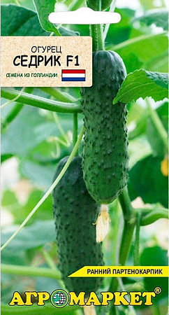 Огурец Седрик F1, 10 шт (Агромаркет)