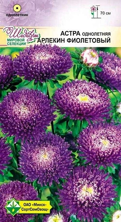 Астра Арлекин Фиолетовый, 0,2 г (МССО) Астра Арлекин Фиолетовый, 0,2 г (МССО)