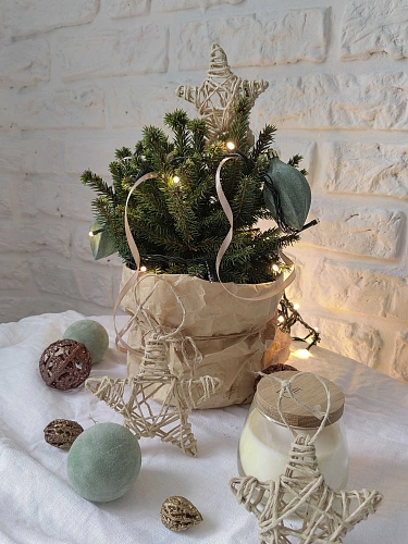 Ель Пумила Глаука d-20 см обыкновенная Ель Пумила Глаука d-20 см обыкновенная